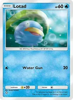 Lotad