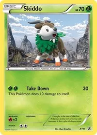 Skiddo - XY11