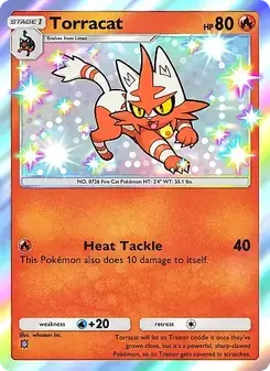 Torracat